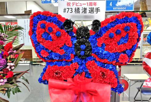 橘渚選手のデビュー1周年祝い蝶々モチーフフラスタ @後楽園ホール