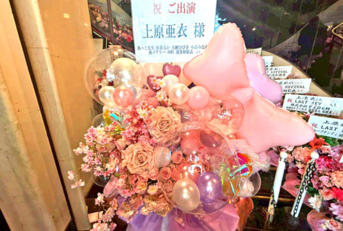 上原亜衣様のストリップショーラスト出演祝いフラスタ @浅草ロック座