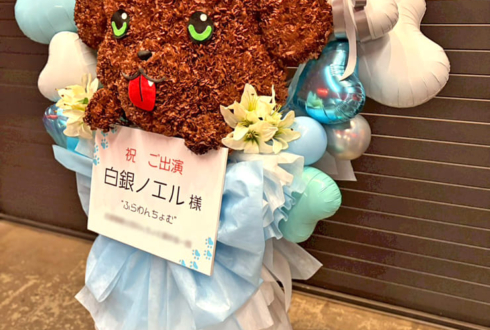 白銀ノエル様の #きゅるるん大作戦 公演祝いわんちょむモチーフフラスタ @Kアリーナ横浜