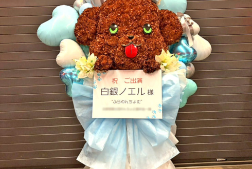 白銀ノエル様の #きゅるるん大作戦 公演祝いわんちょむモチーフフラスタ @Kアリーナ横浜