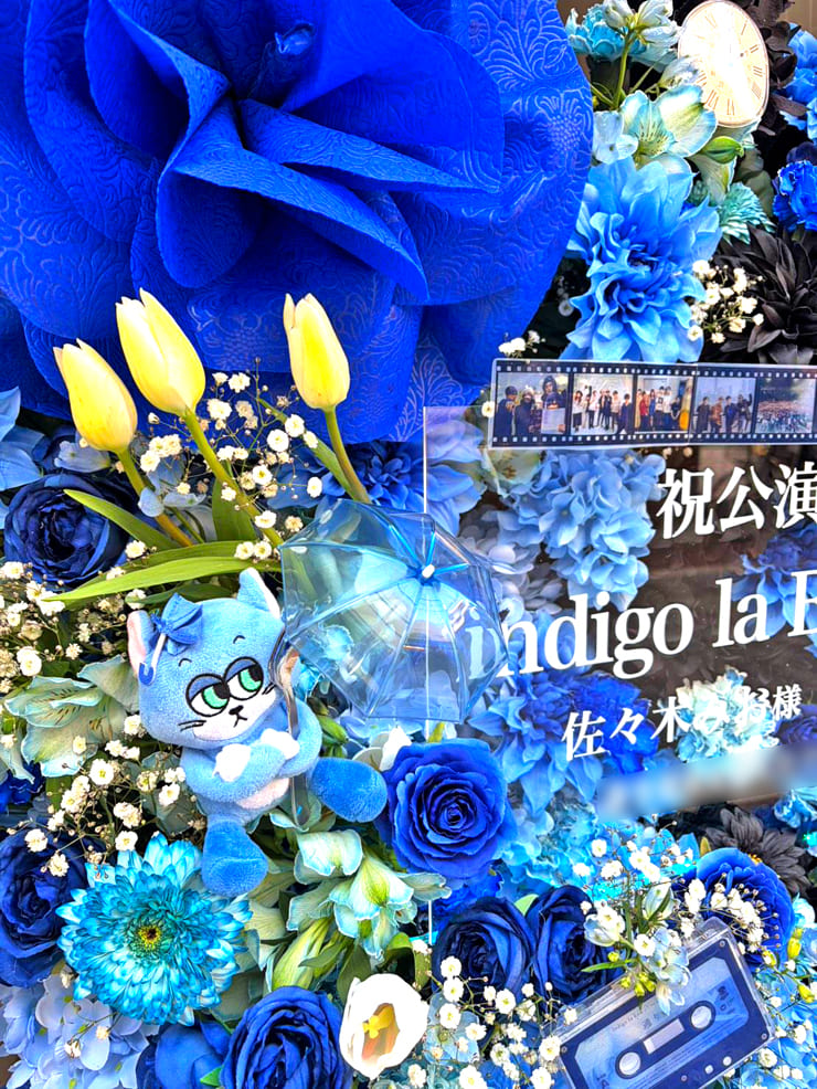 indigo la End様 佐々木みお様 えつこ様のライブ公演祝いフラスタ @日本武道館