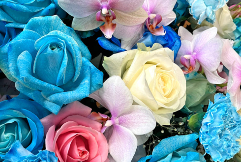 全日本プロレス 青柳亮生選手のデビュー7周年祝い花 @後楽園ホール