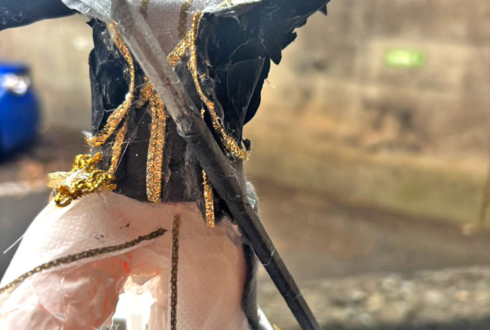 剣持刀也様の #にじさんじWORLDTOUR2025 東京公演祝い花 衣装再現フラワードール @TOYOTA ARENA TOKYO【花屋店頭展示】