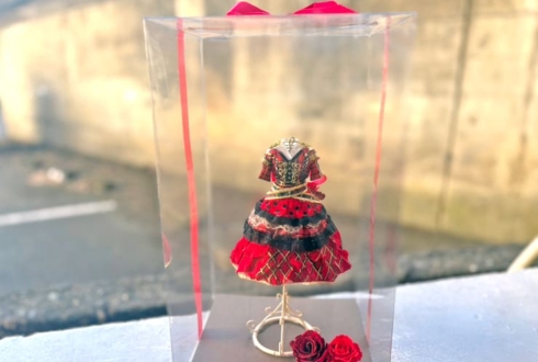 AKB48 畠山希美様の生誕祭祝い花 衣装再現プリザーブドフラワーミニトルソーアレンジ @AKB48劇場