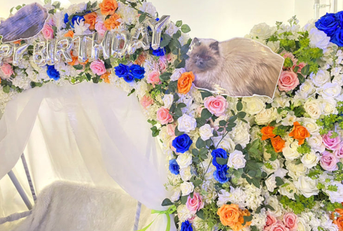 頓知気さきな様の生誕祭祝い連結アーチ @Veats Shibuya