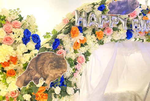 頓知気さきな様の生誕祭祝い連結アーチ @Veats Shibuya