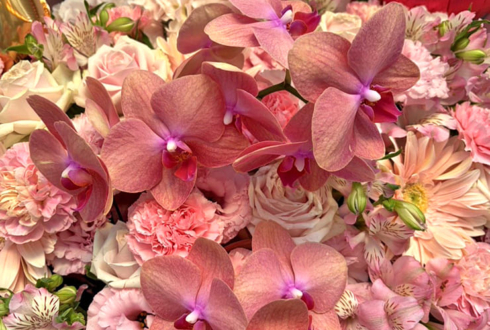 田辺誠一様の誕生日（4/3）＆舞台「岸辺のアルバム」出演祝いフラスタ @東京芸術劇場