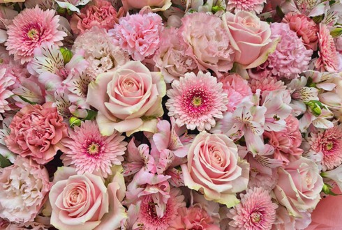 IBERIs& 西尾桃子様のライブ公演祝いフラスタ @duo MUSIC EXCHANGE