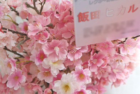 飯田ヒカル様の #すーかわ イベントゲスト出演祝い祝い花 @ラクーンドッグ【事務所お届け #ヲモヒヲカタチニプラス 】