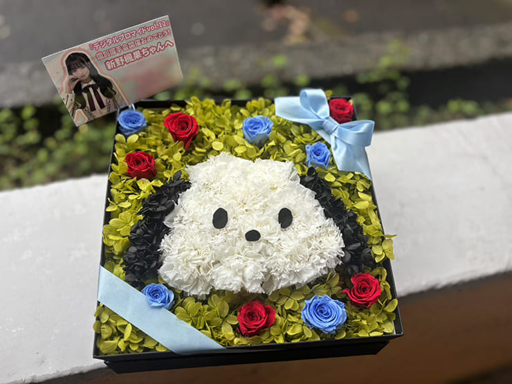 Rain Tree 新野楓果様の握手会開催祝い花 ポチャッコモチーフプリザーブドフラワーBOXアレンジ @TFTホール