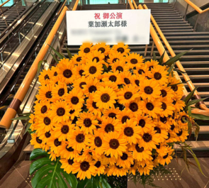 葉加瀬太郎様のコンサート公演祝いひまわりスタンド花 @東京国際フォーラム