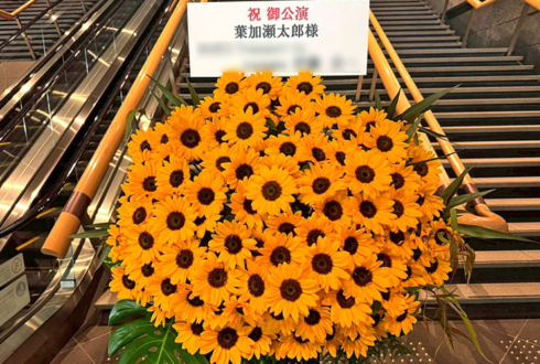 葉加瀬太郎様のコンサート公演祝いひまわりスタンド花 @東京国際フォーラム