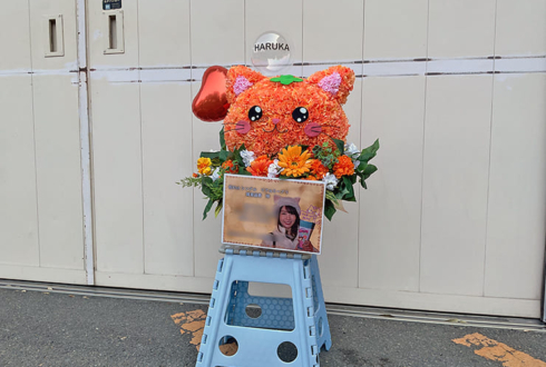 乃木坂46 賀喜遥香様のリアルミーグリ開催祝い花 ネコモチーフアレンジ @京都パルスプラザ