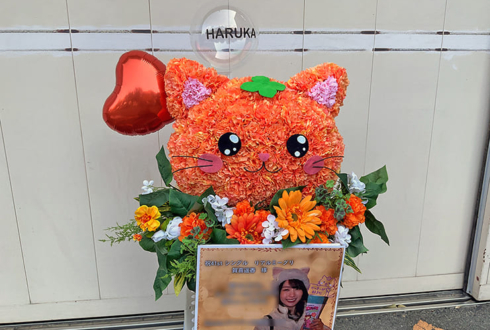 乃木坂46 賀喜遥香様のリアルミーグリ開催祝い花 ネコモチーフアレンジ @京都パルスプラザ