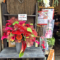 【 #ヲモヒヲカタチニプラス 】松田岳様の朗読劇出演祝い花 @草月ホール【花屋店頭展示】