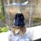 乃木坂46 鈴木佑捺様のオンラインミーグリ開催祝い花 額縁衣装再現プリザーブドフラワーミニトルソーアレンジ